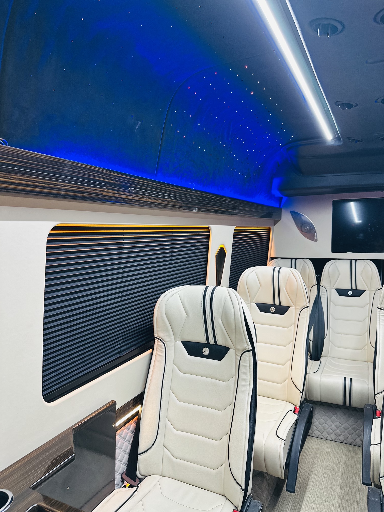 Mercedes Sprinter vip