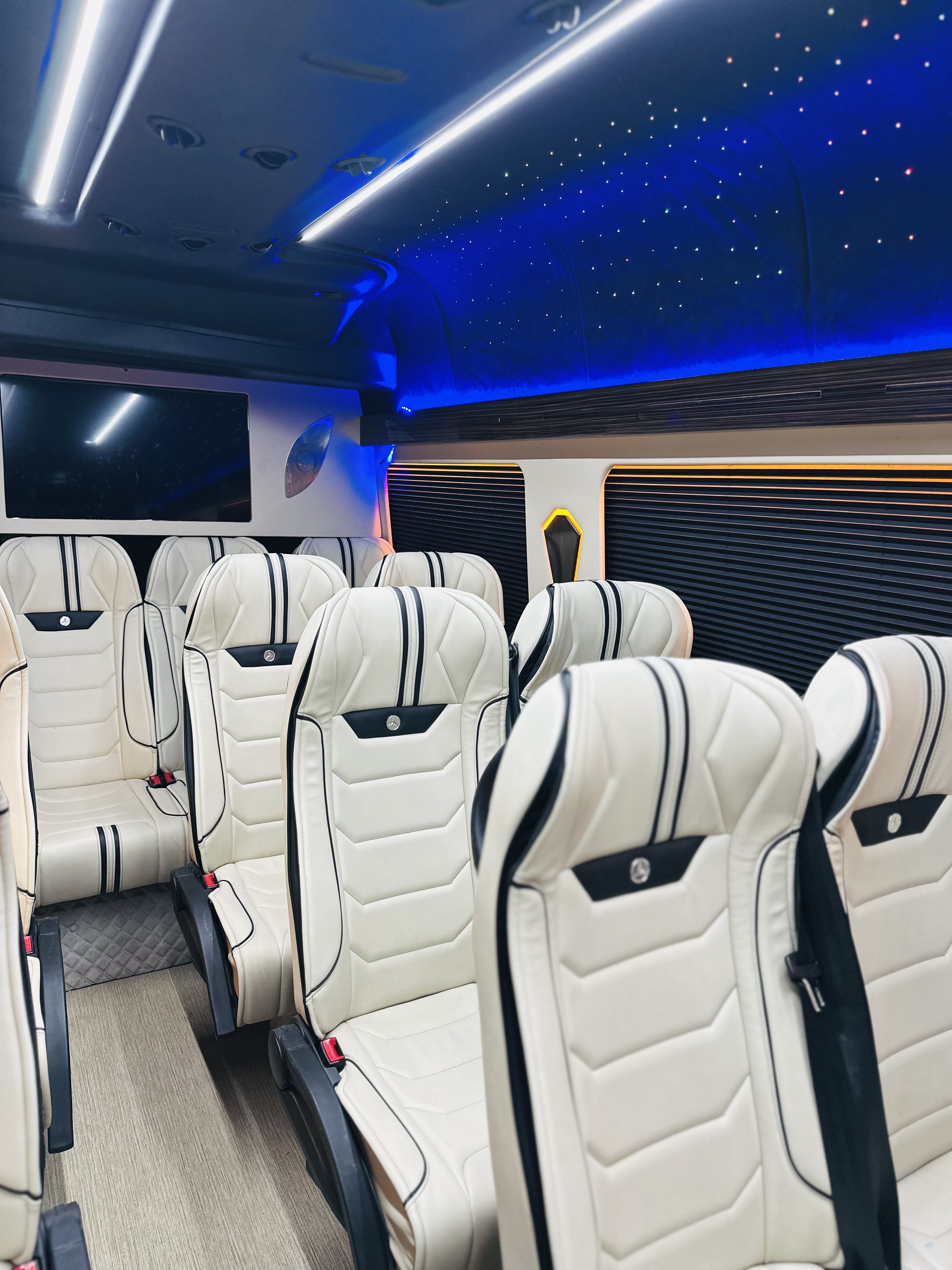Mercedes Sprinter vip