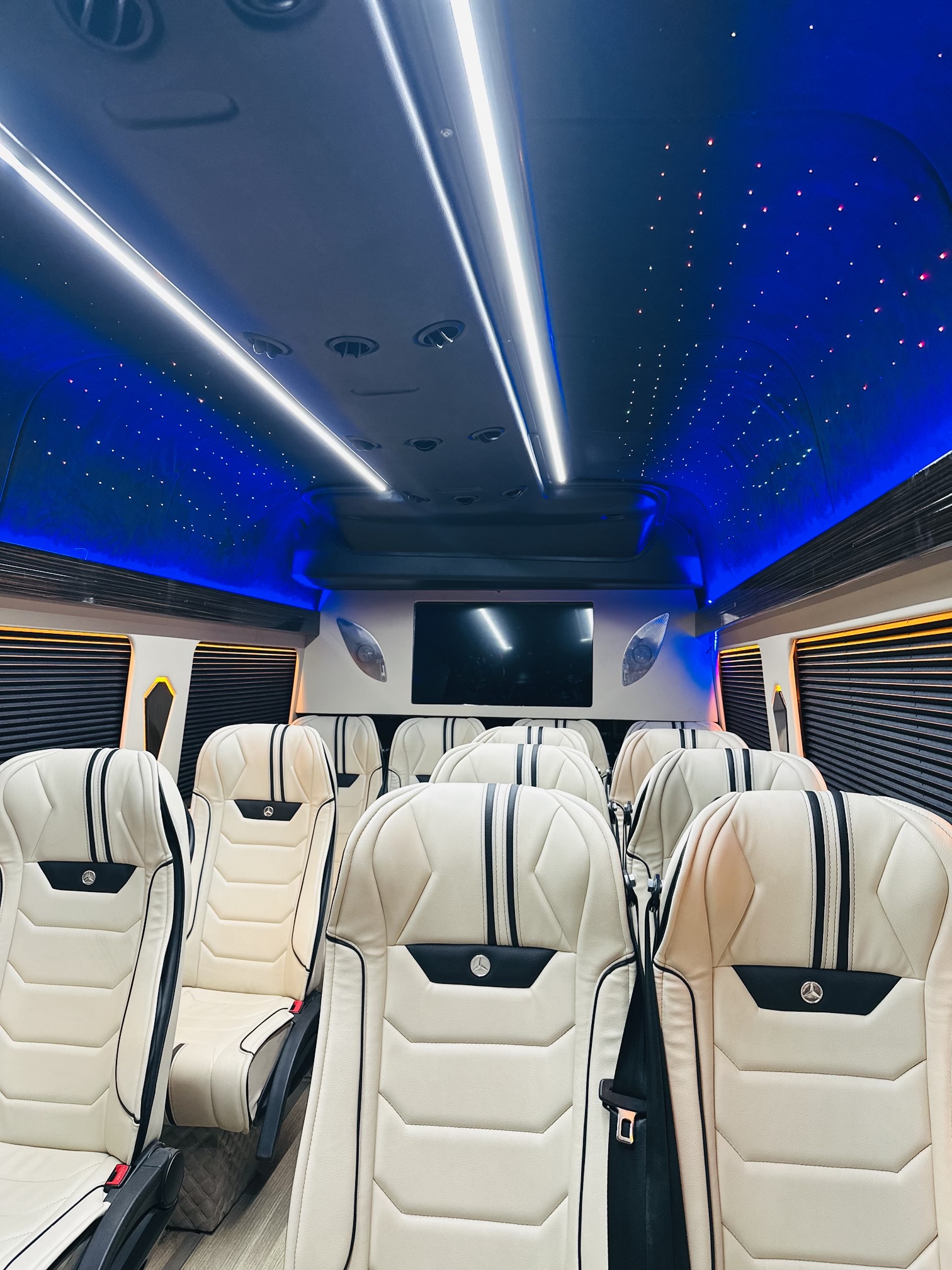 Mercedes Sprinter vip