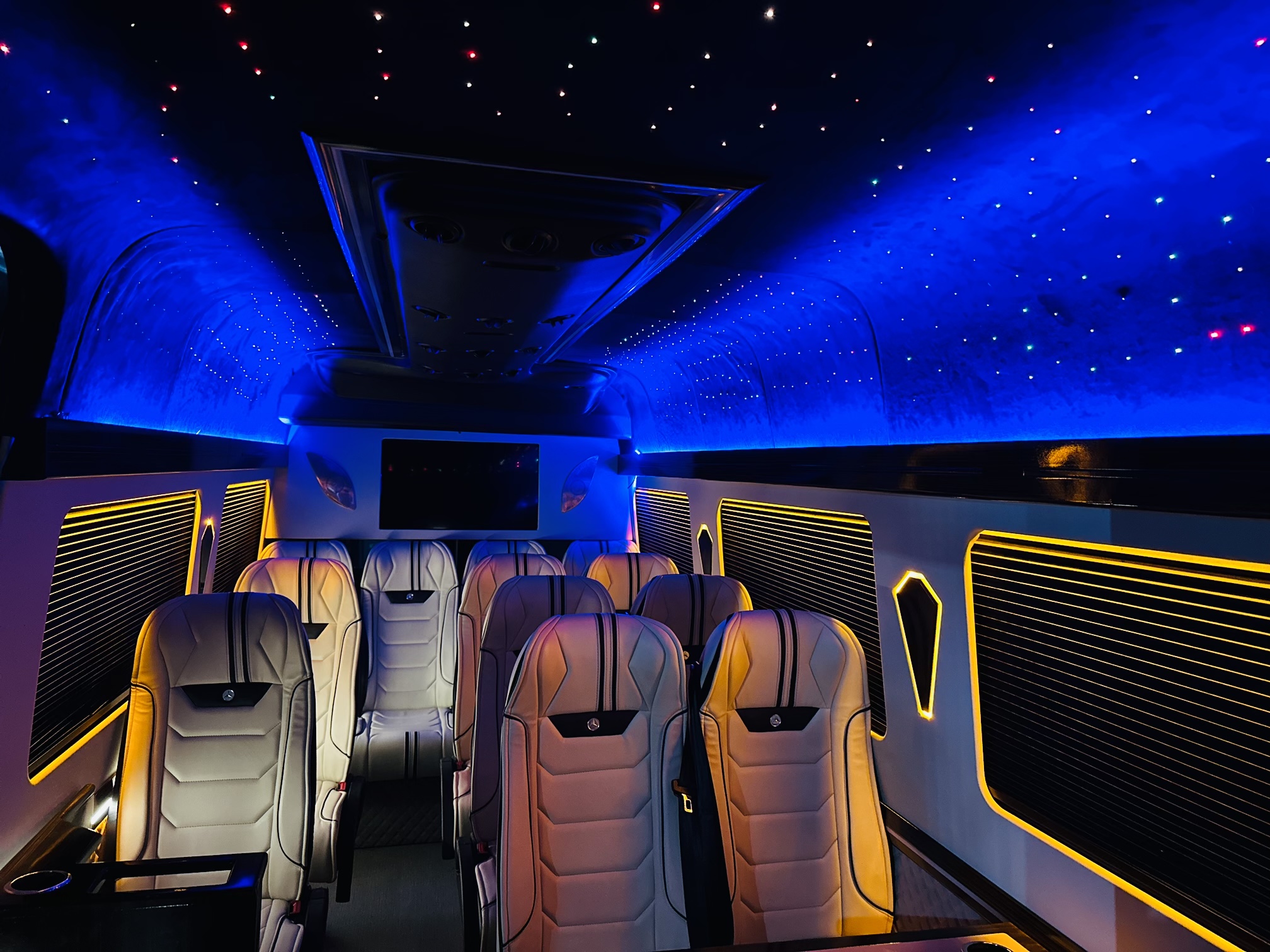 Mercedes Sprinter vip