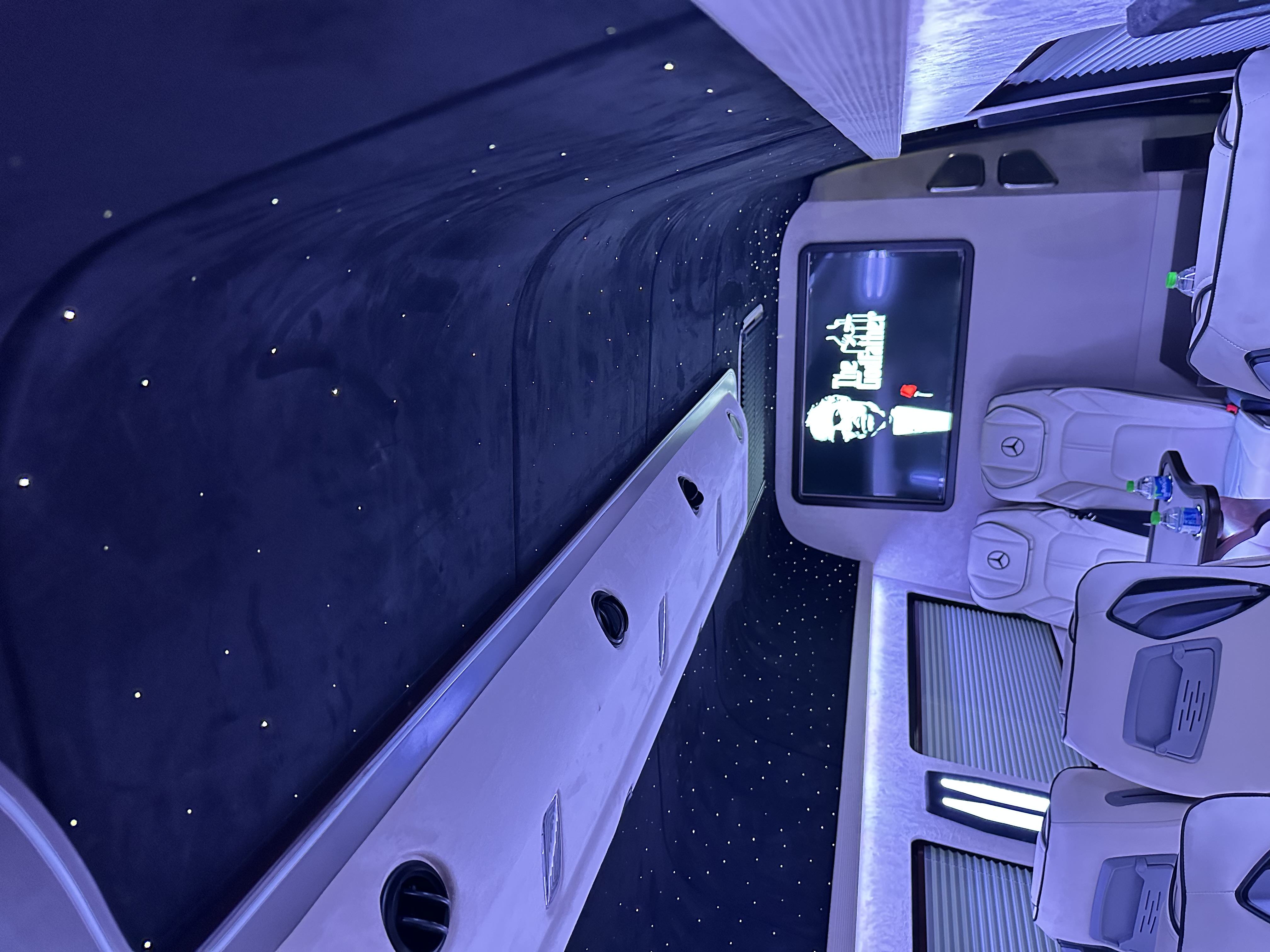 Mercedes Sprinter VIP